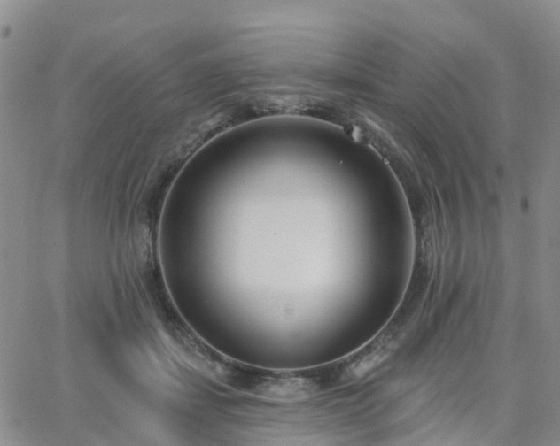 X0000063490459200601231416