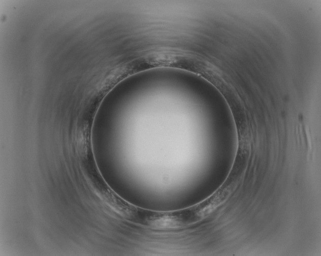 X0000063490460200601231416