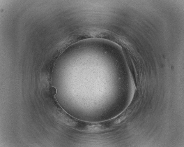 X0000063490461200601231416