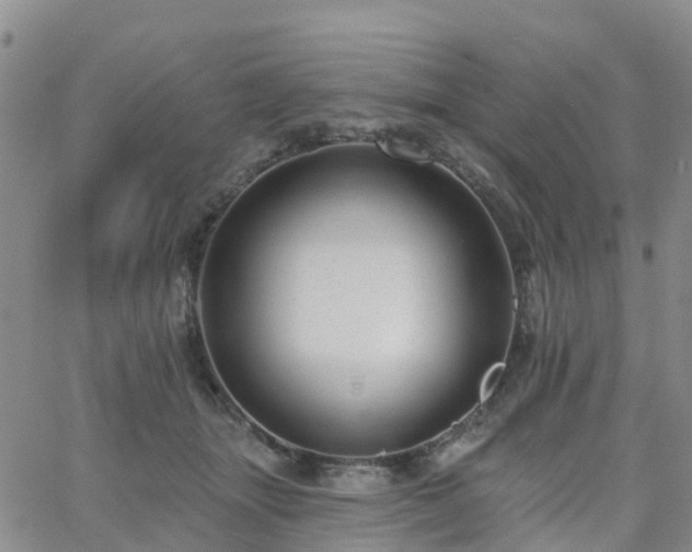 X0000063490463200601231416