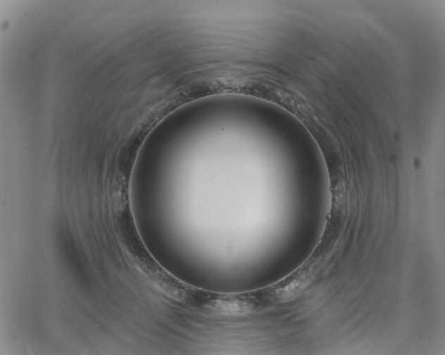 X0000063490464200601231416