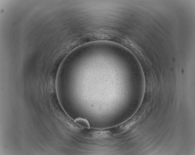 X0000063490465200601231416