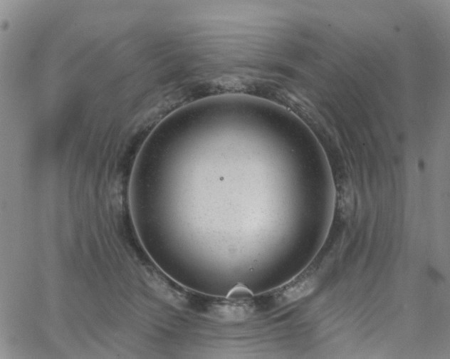 X0000063490466200601231416