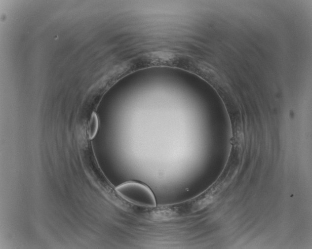 X0000063490468200601231416