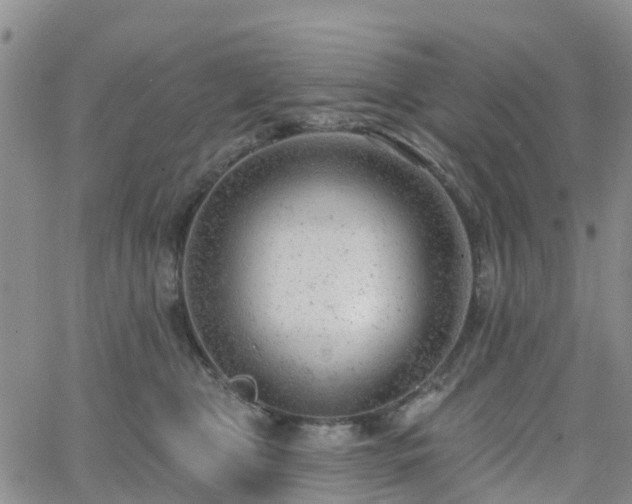 X0000063490469200601231416