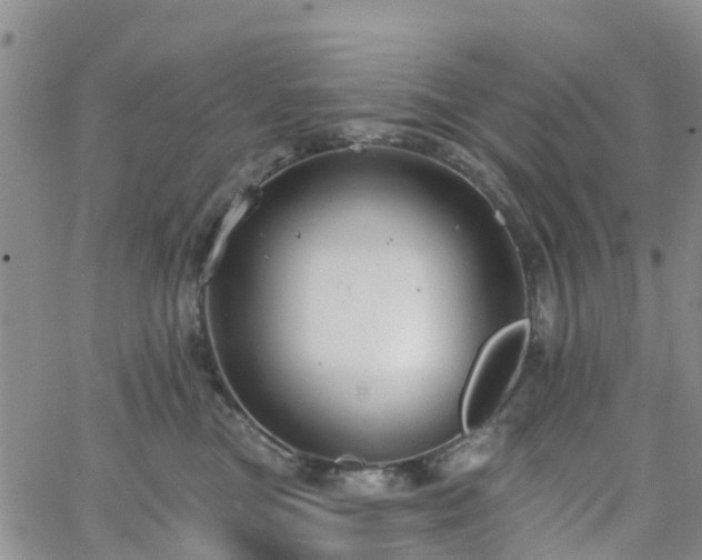 X0000063490473200601231416