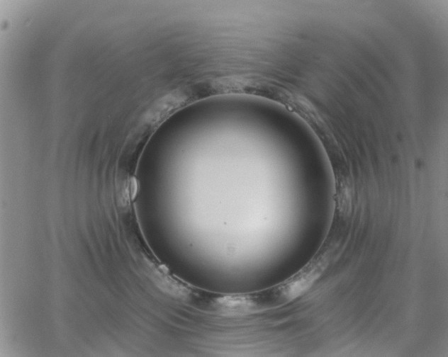 X0000063490477200601231416