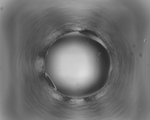 X0000063490480200601231416