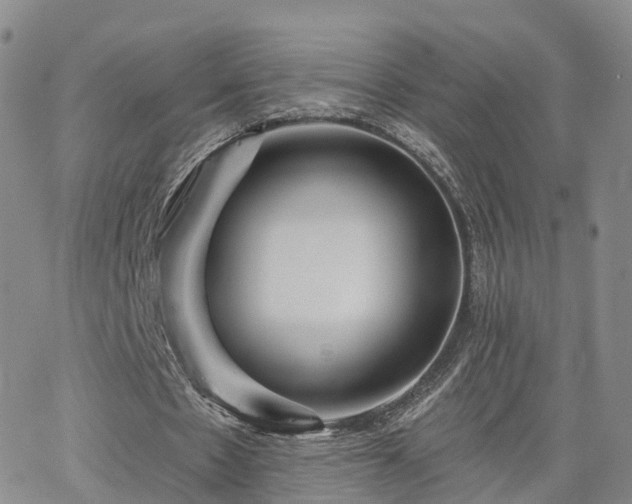 X0000063490481200601231416