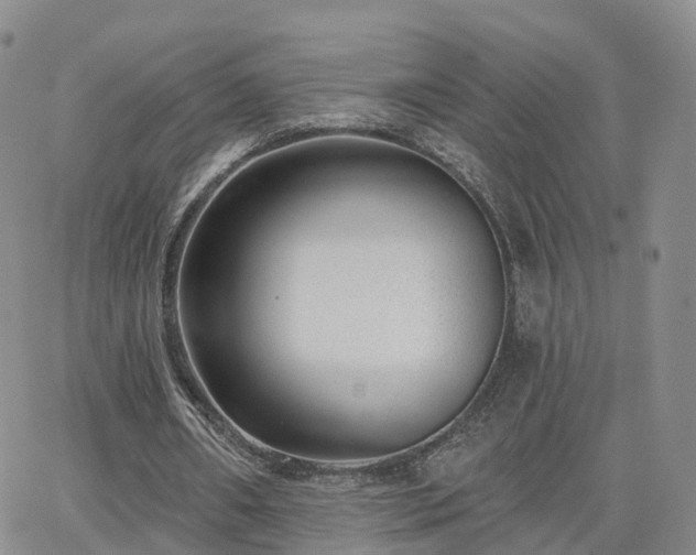 X0000063490482200601231416