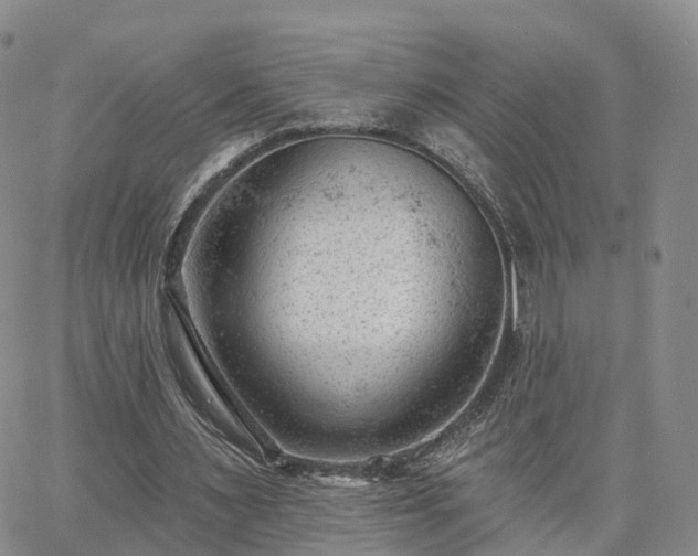 X0000063490483200601231416