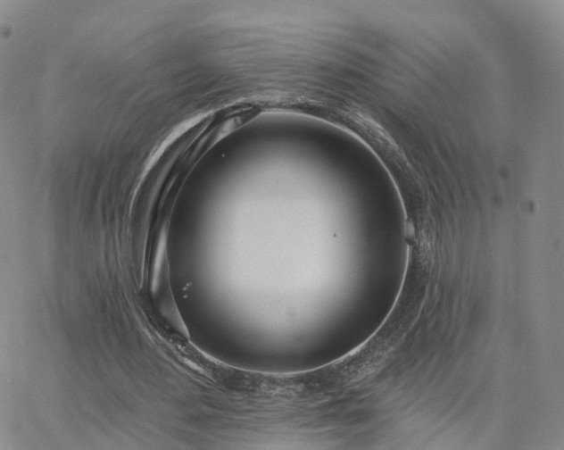 X0000063490484200601231416