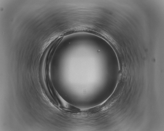 X0000063490485200601231416