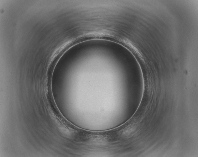 X0000063490486200601231416