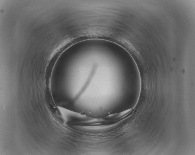 X0000063490488200601231416