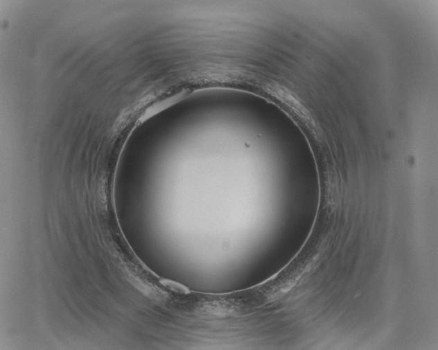 X0000063490489200601231416