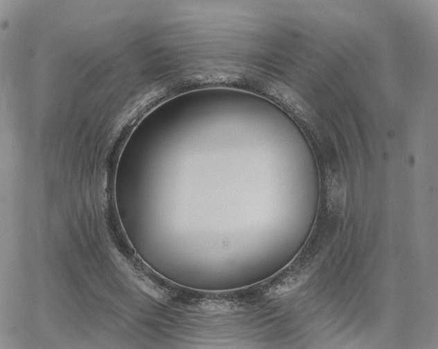 X0000063490490200601231416