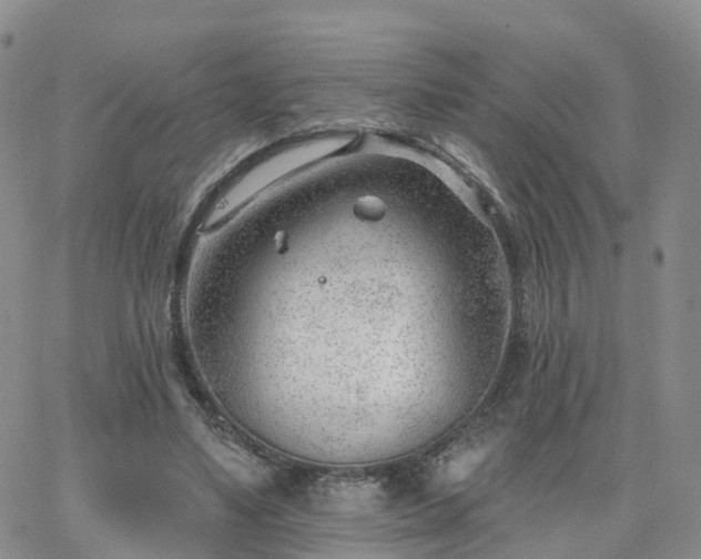 X0000063490491200601231416