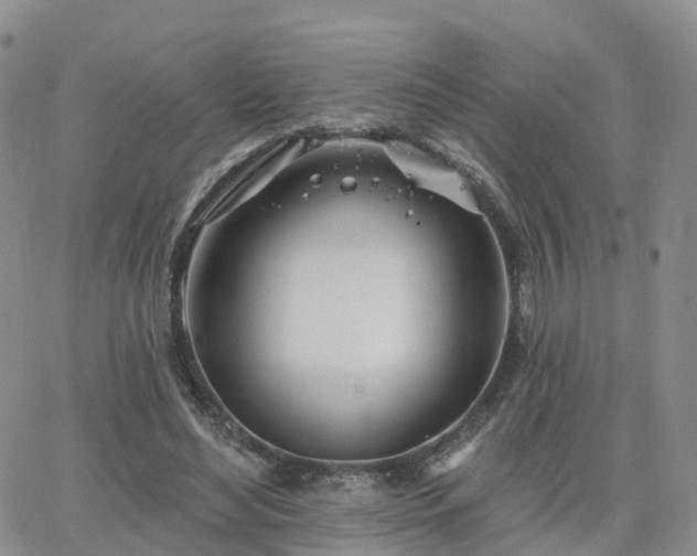 X0000063490492200601231416