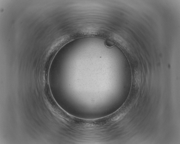 X0000063490494200601231415