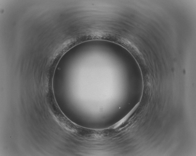 X0000063490496200601231415