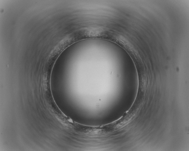 X0000063490497200601231415