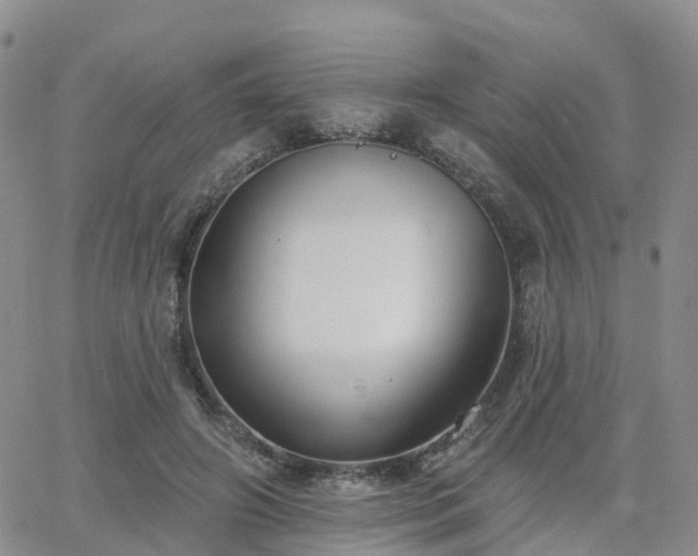 X0000063490498200601231415