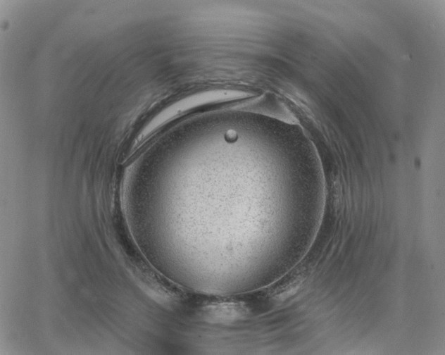 X0000063490499200601231415