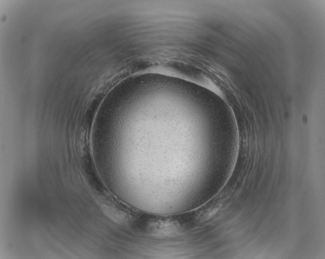 X0000063490503200601231415