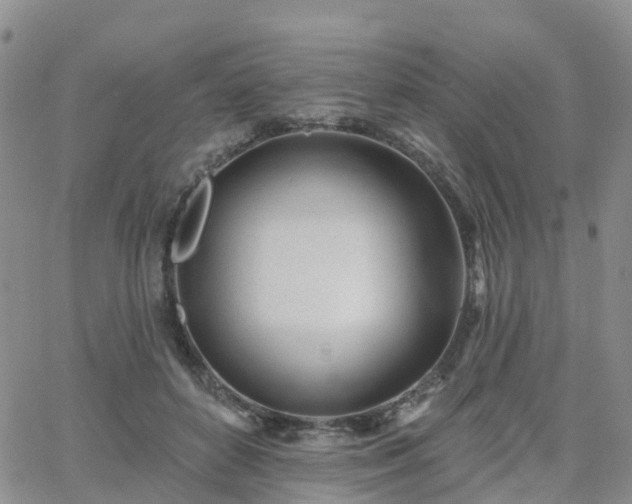 X0000063490504200601231415