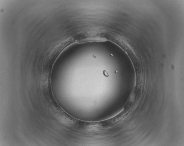 X0000063490505200601231415