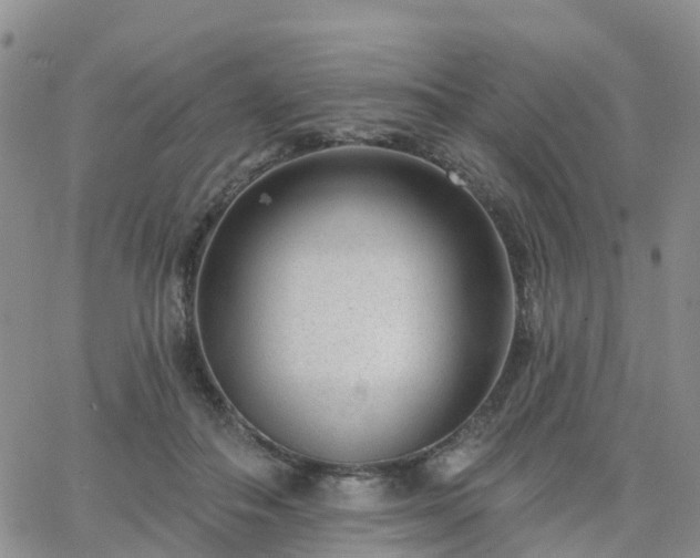 X0000063490506200601231415