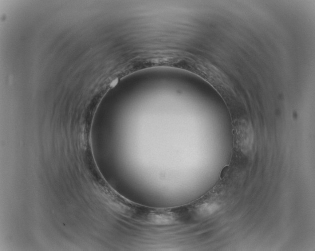 X0000063490510200601231415