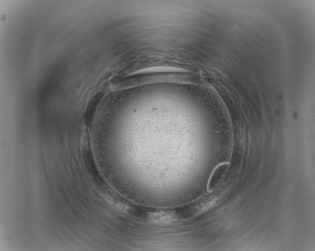 X0000063490511200601231415