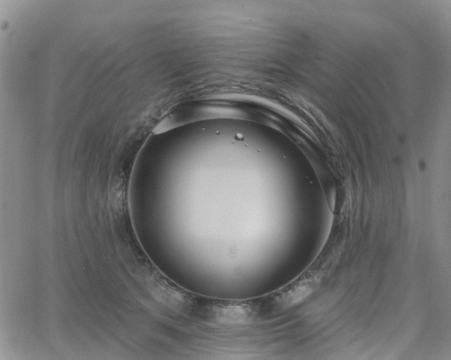 X0000063490513200601231415