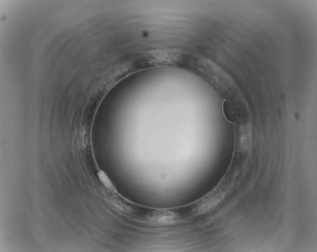 X0000063490514200601231415