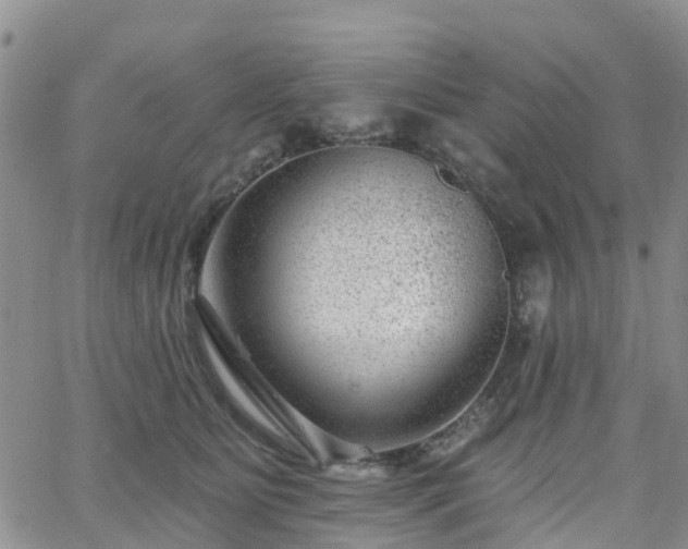 X0000063490515200601231415