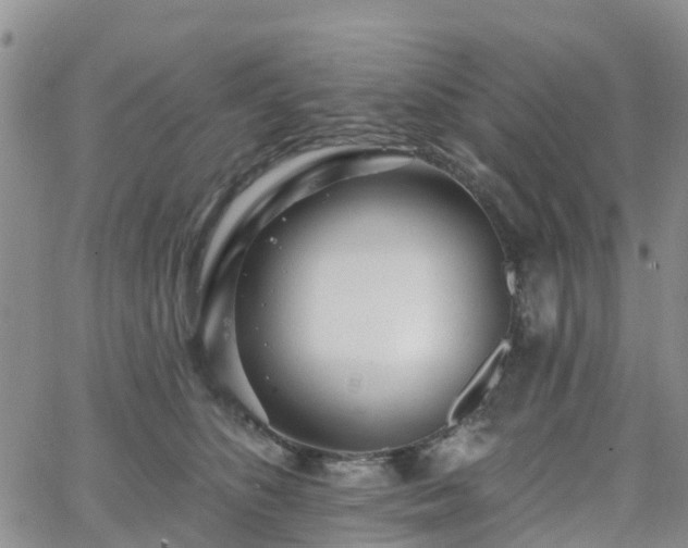 X0000063490516200601231415