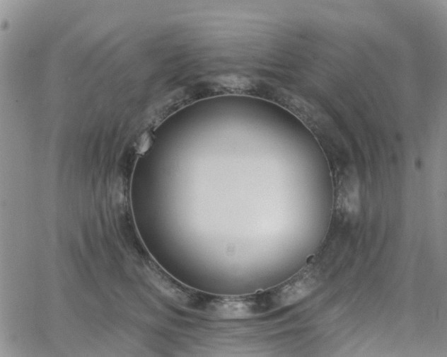 X0000063490518200601231415