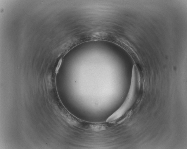 X0000063490520200601231415