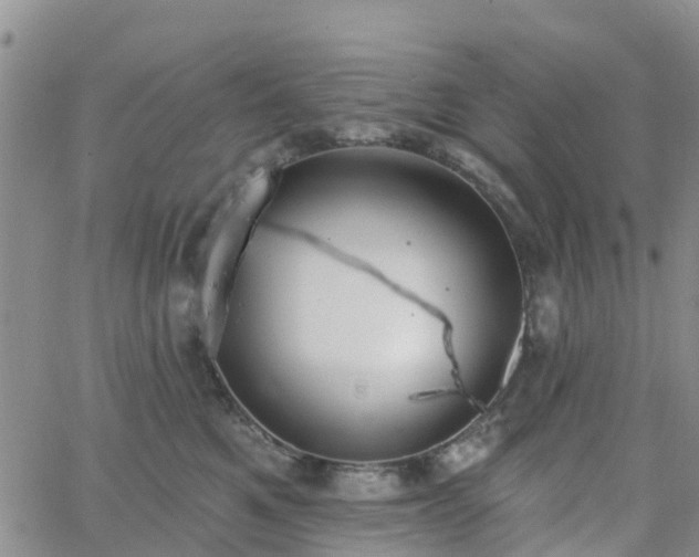 X0000063490521200601231415