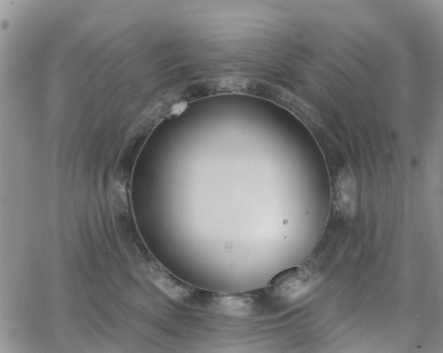 X0000063490522200601231415