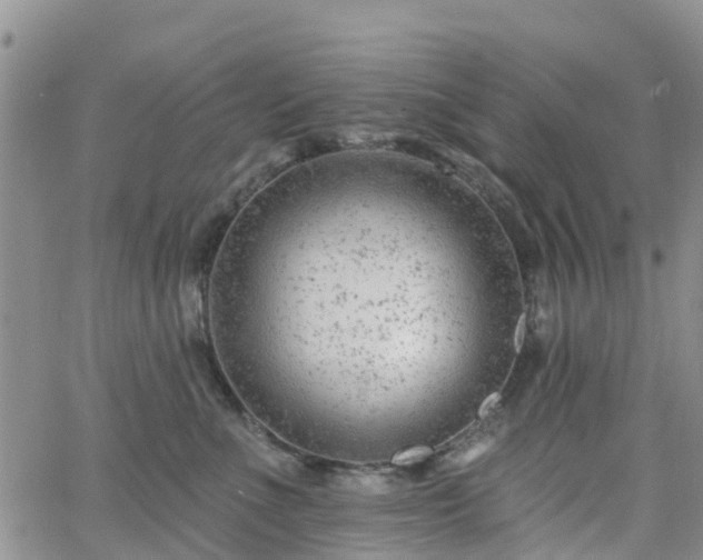 X0000063490523200601231415