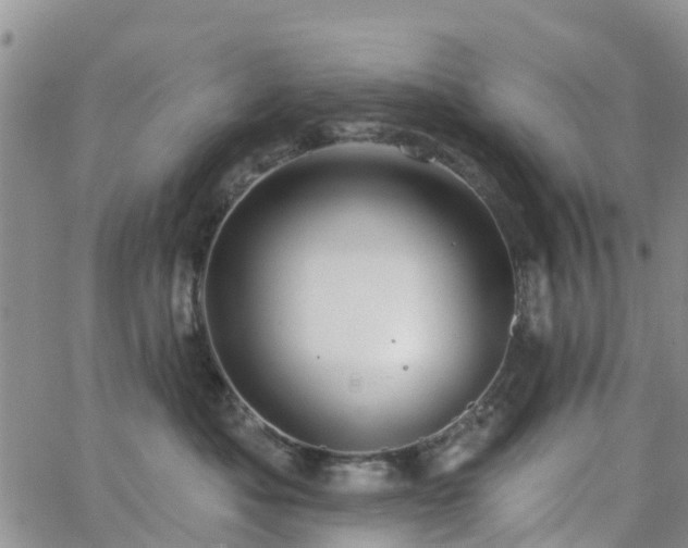 X0000063490525200601231415