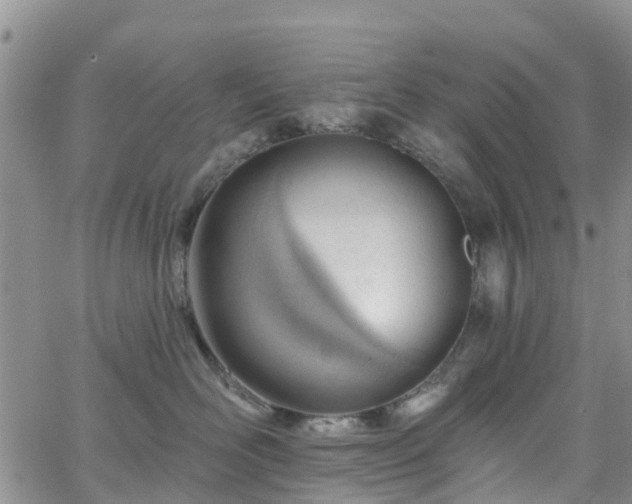 X0000063490526200601231415