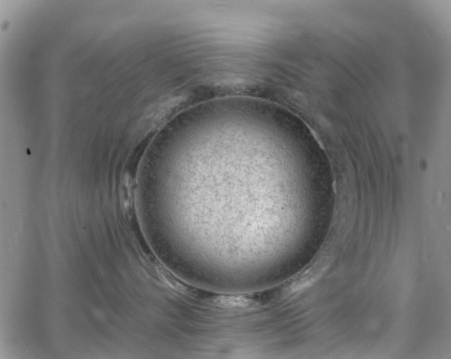 X0000063490528200601231415