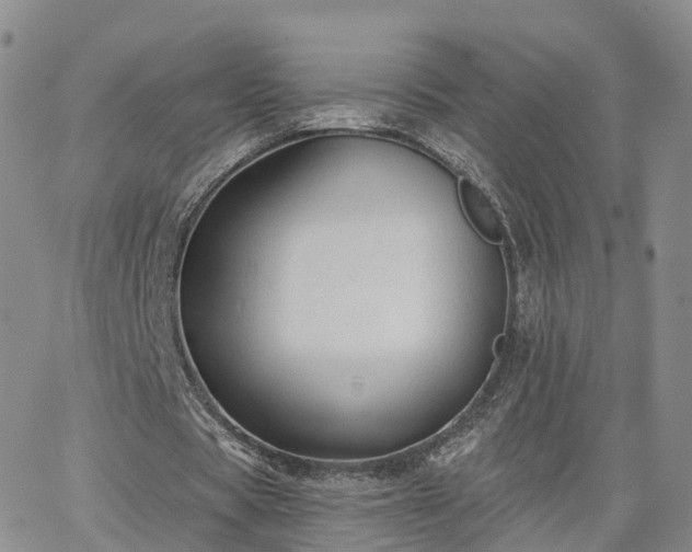 X0000063490529200601231414