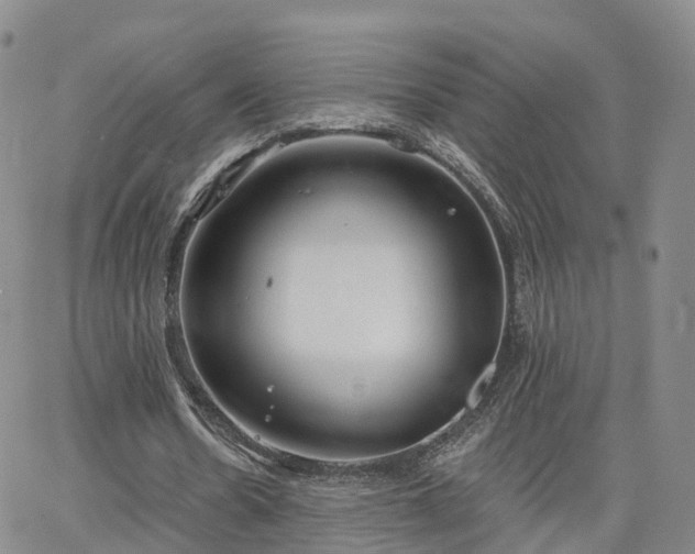 X0000063490530200601231414