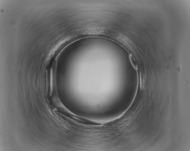 X0000063490531200601231414