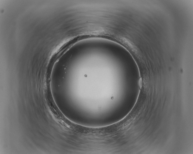 X0000063490532200601231414